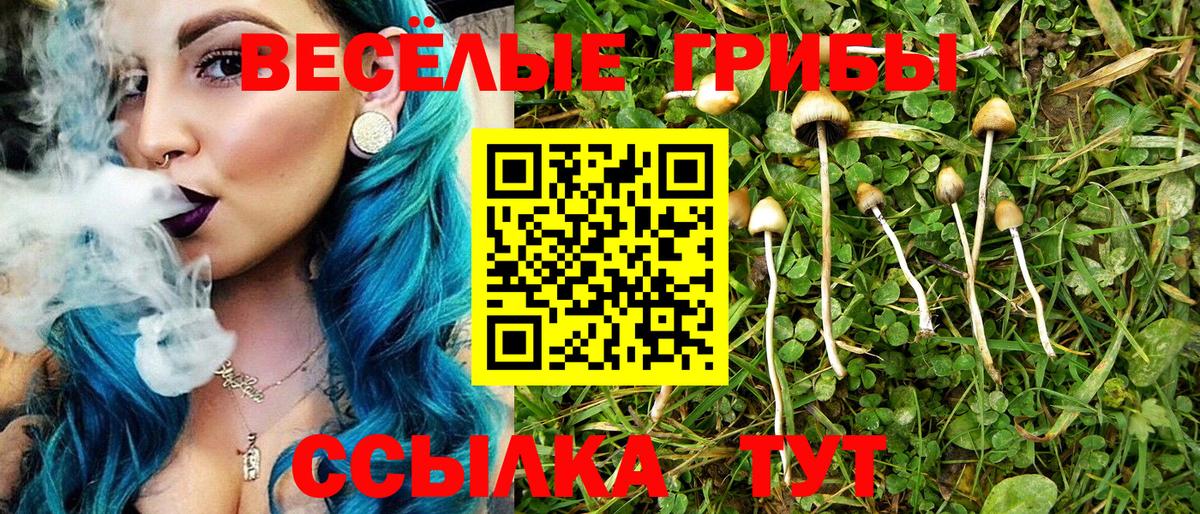 Учалы  Галлюциногенные грибы ЛСД  Псилоцибиновые грибы мицелий  Вход с VPN 
